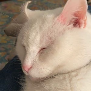 Meet your Posher, Deborah